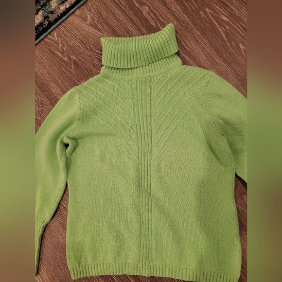 Jillian‎ Nicole Spring Green Detailed Turtleneck NWOT Petite Large - Picture 4 of 7